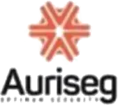 Auriseg